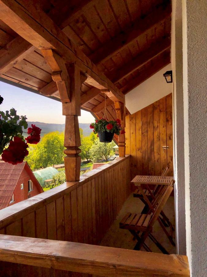 Pensiunea Roca Maramures Deseşti Exteriér fotografie