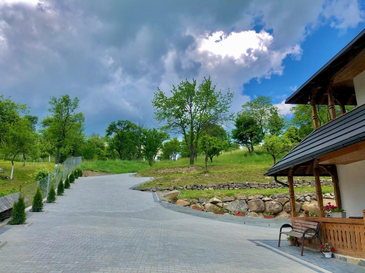 Pensiunea Roca Maramures Deseşti Exteriér fotografie