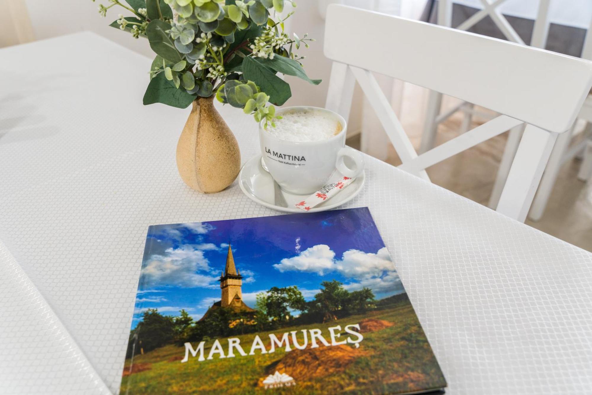 Pensiunea Roca Maramures Deseşti Exteriér fotografie